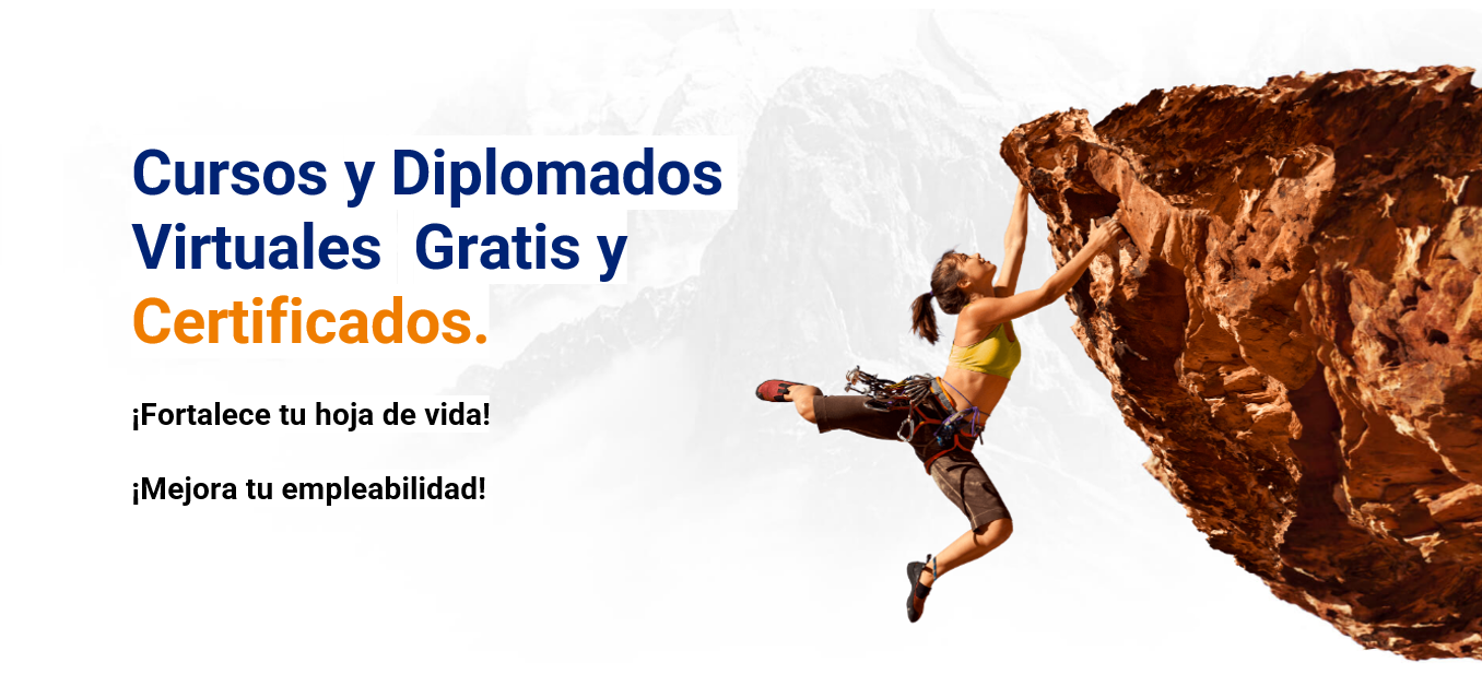 ASOGESTION EDUCACION